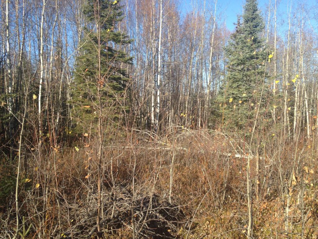 13180 N Barrington Loop, Willow, AK 99688