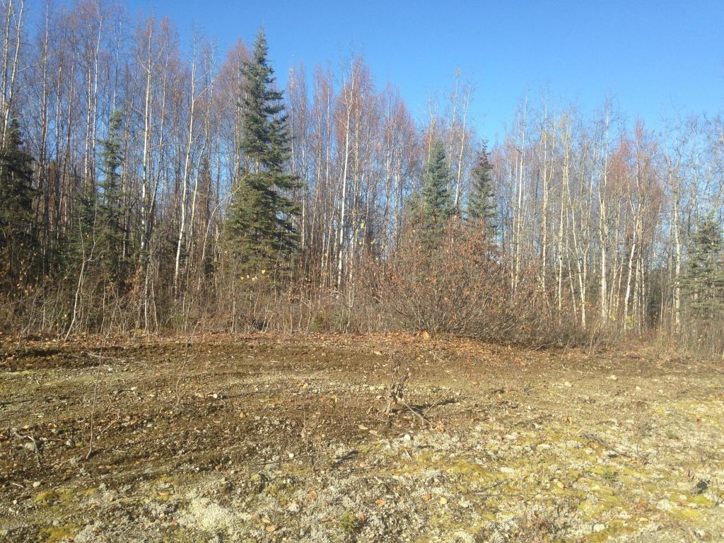 13180 N Barrington Loop, Willow, AK 99688