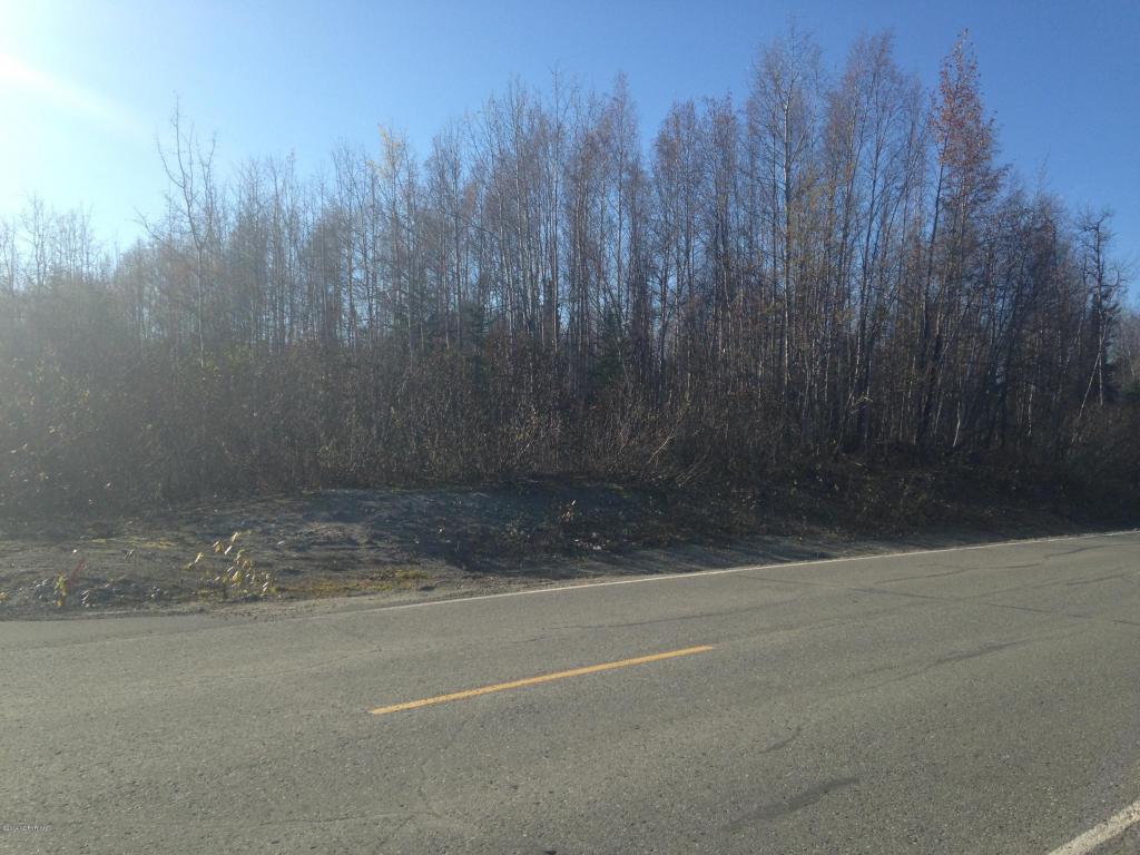 13180 N Barrington Loop, Willow, AK 99688