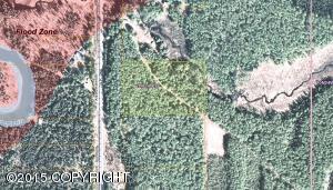 D006No Road, Willow, United States 99688