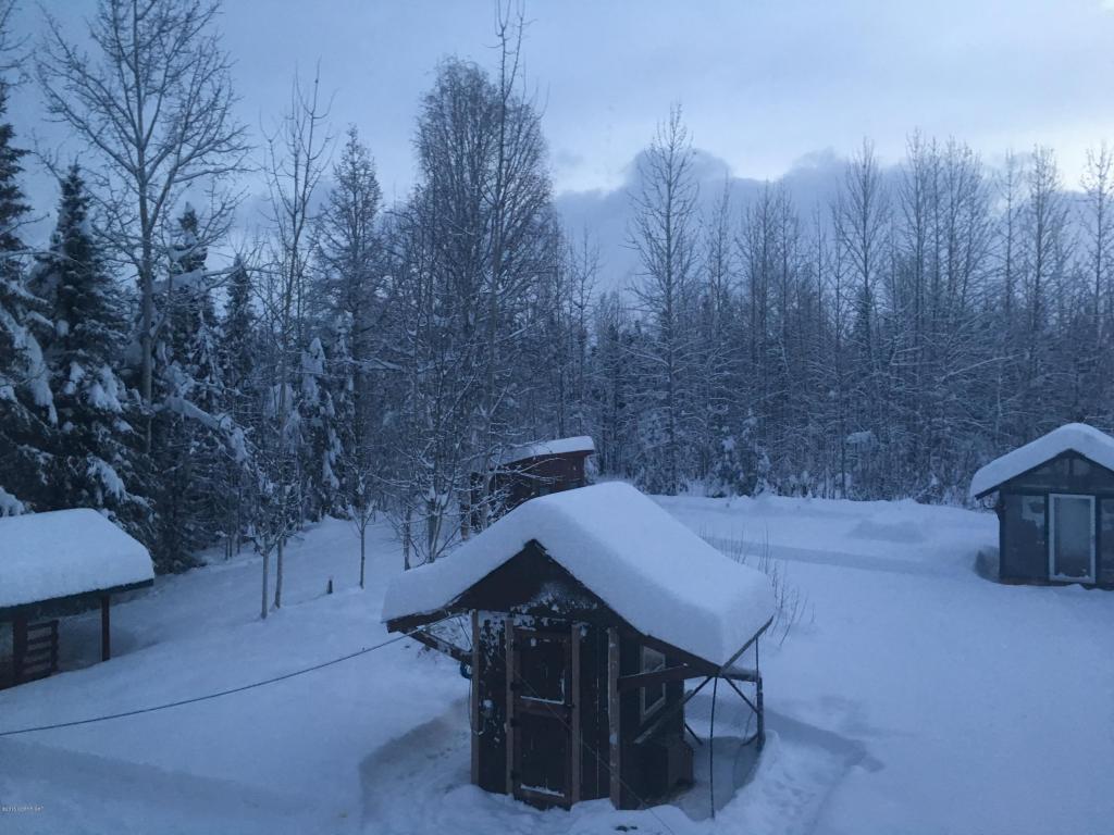 14602 E Wilderness Rim Road, Willow, AK 99688