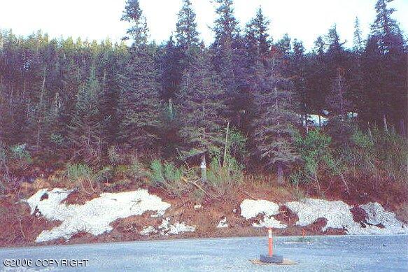L9-10 B5 Eastern Avenue, Whittier, AK 99693