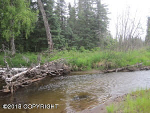 22890 W Willow Fishhook Road, Willow, AK 99694