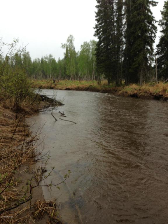 22890 W Willow Fishhook Road, Willow, AK 99694