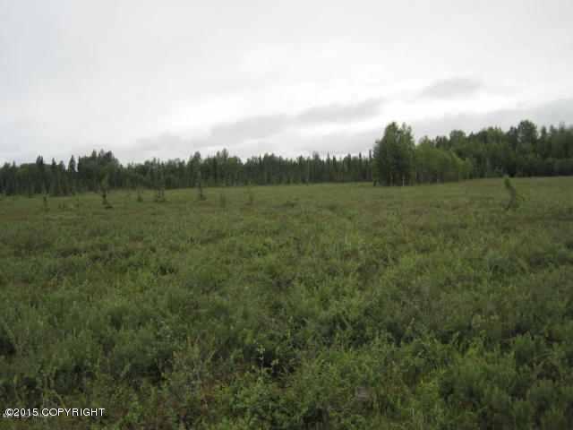 22890 W Willow Fishhook Road, Willow, AK 99694
