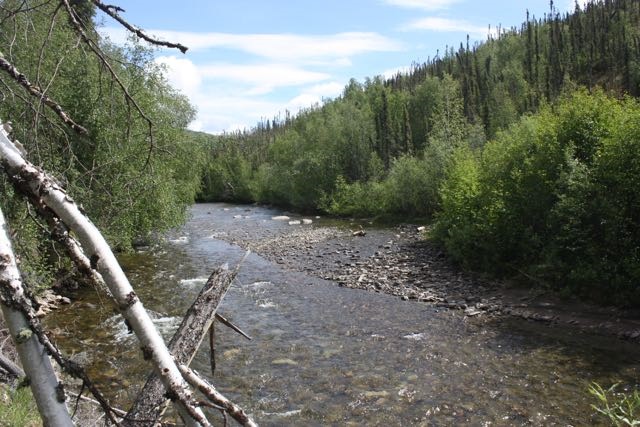 55 Miles Chena Hot Springs Road, Fairbanks, United States 99712
