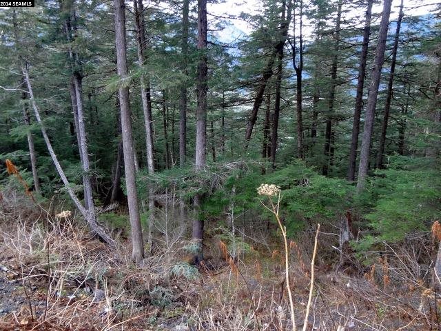NHN Pioneer Avenue, Juneau, United States 99801