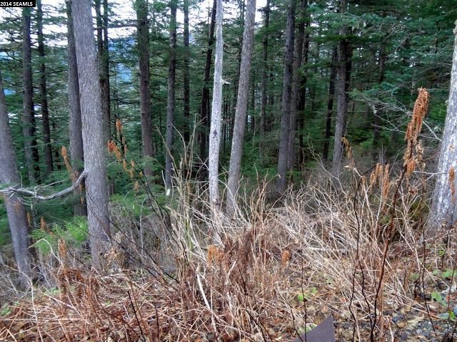 NHN Pioneer Avenue, Juneau, United States 99801