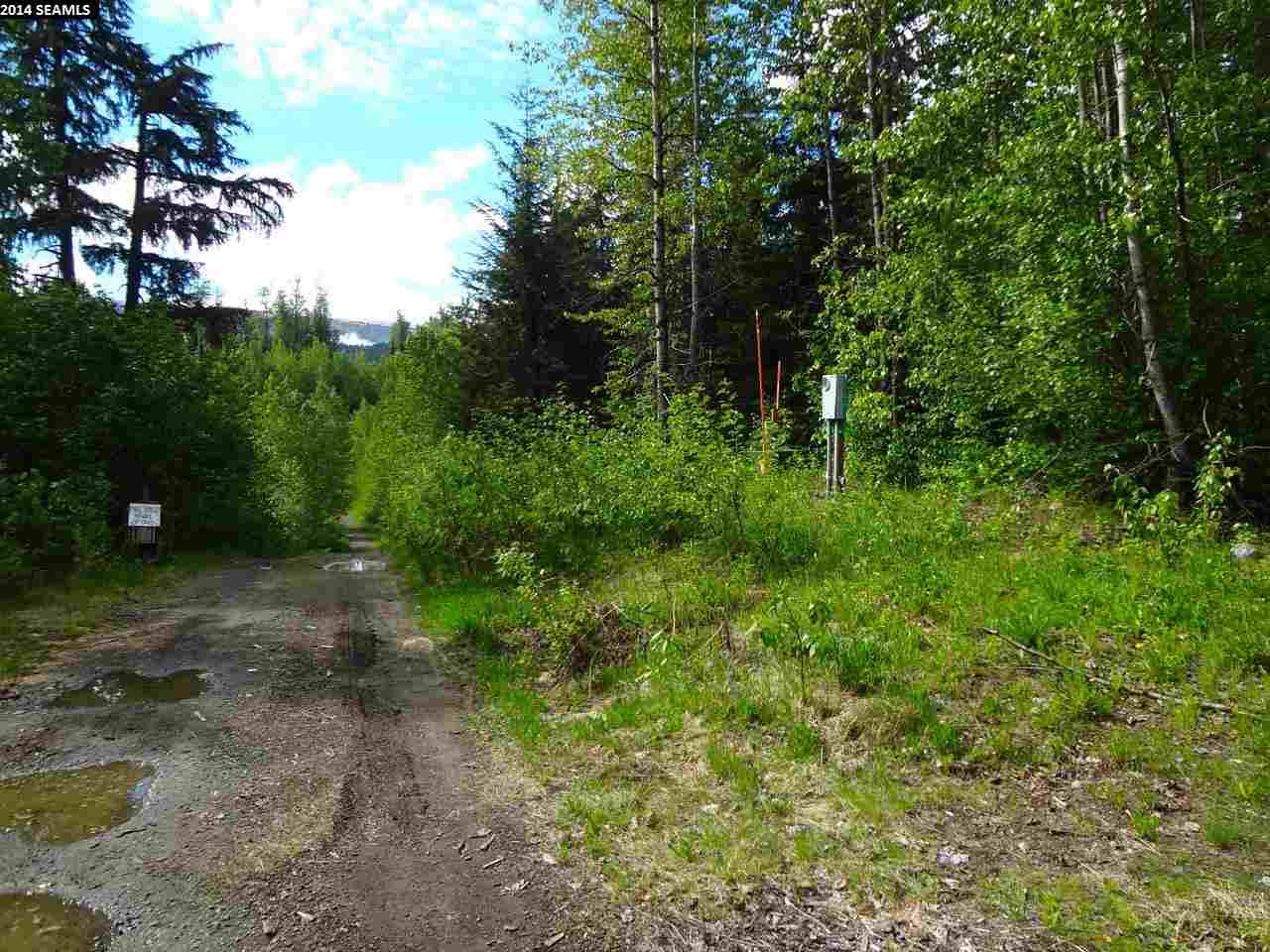 Mile 38 Haines Highway, Haines, United States 99829