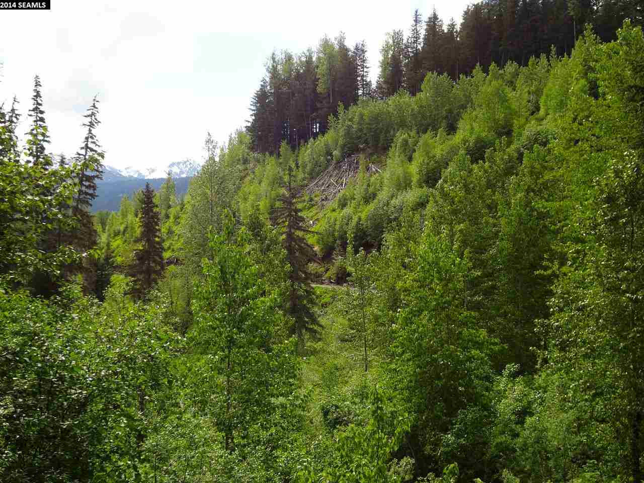 Mile 38 Haines Highway, Haines, United States 99829