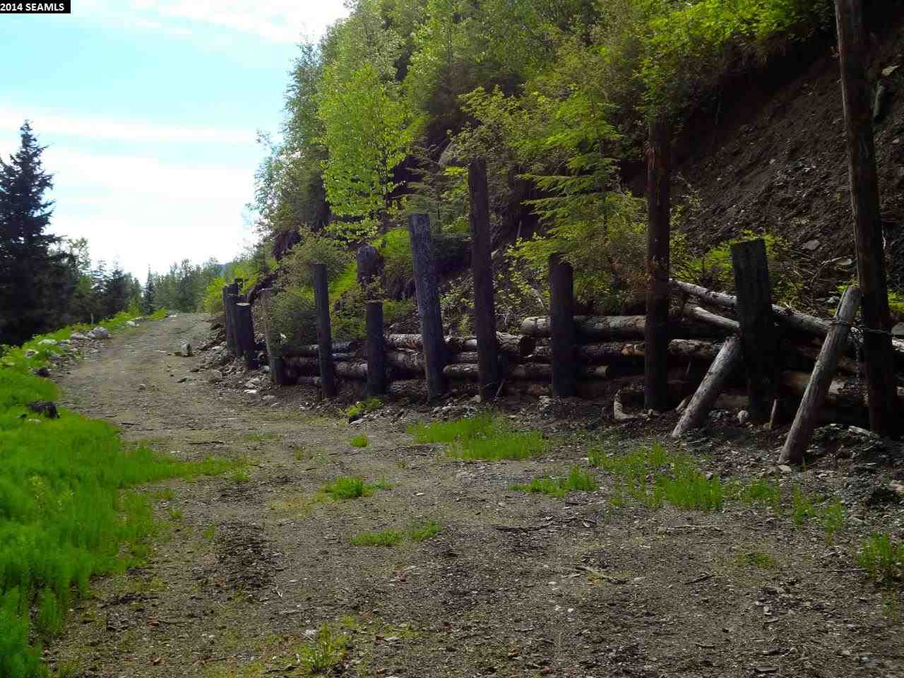 Mile 38 Haines Highway, Haines, United States 99829