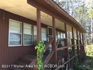 601 DARDEN Ln, Adger, AL 35006