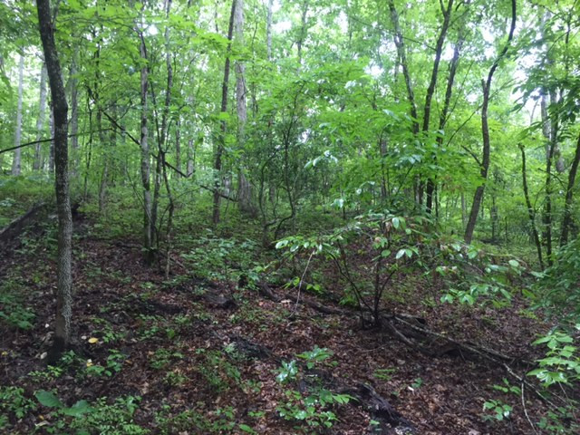 280 Saltsman Road, Alexandar City, AL 35010