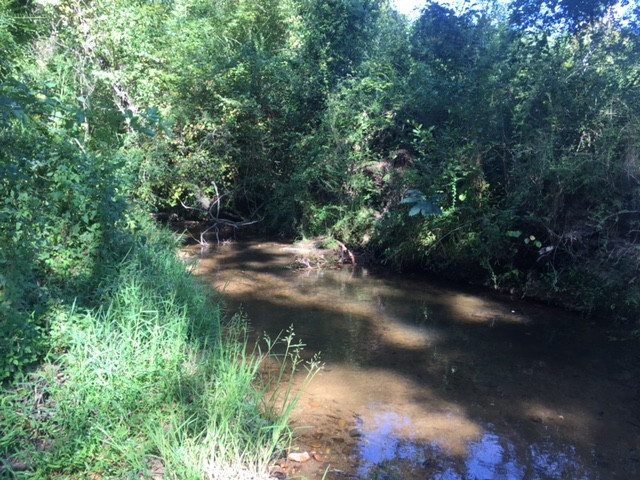 Coley Creek Road, Alexandar City, AL 35010