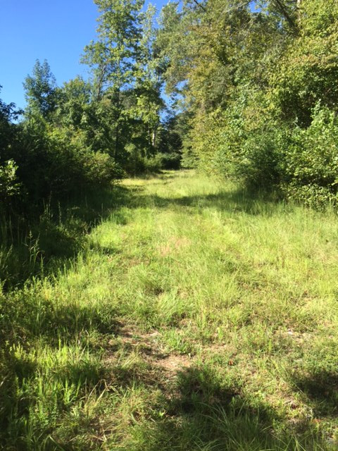 Coley Creek Road, Alexandar City, AL 35010