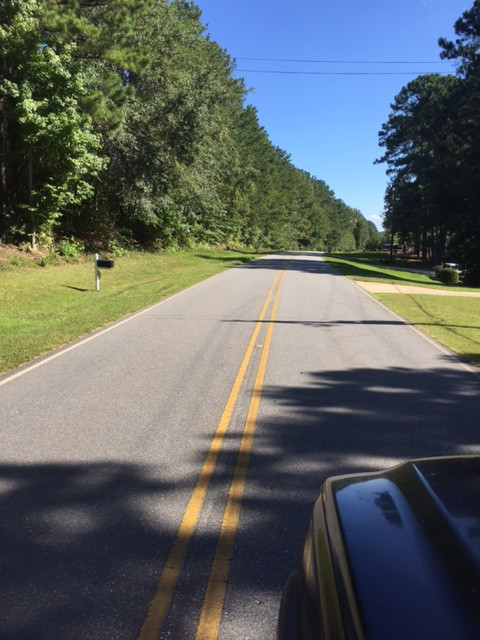 Coley Creek Road, Alexandar City, AL 35010