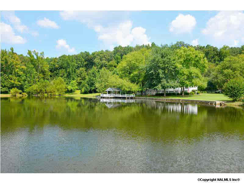 136 J. CRAWFORD ROAD, Baileyton, AL 35019
