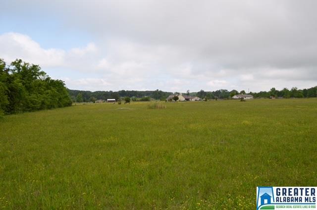 7794 KIMBERLY CUTOFF RD, Mccalla, AL 35020