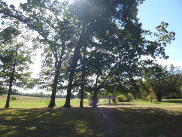 0 CO RD 61, Bremen, AL 35033