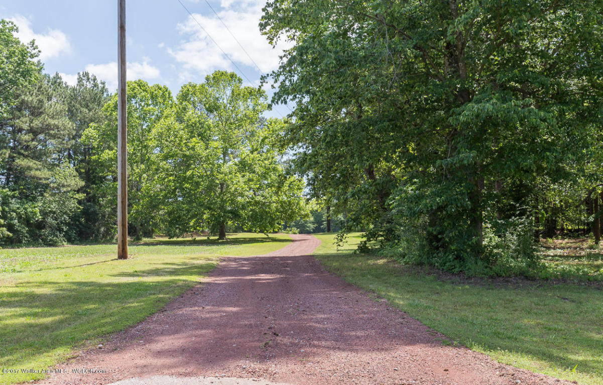 4730 CO RD 109, Bremen, AL 35033