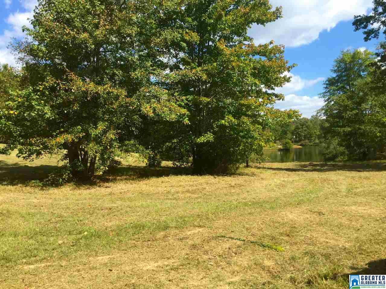 104 EMERALD PARC DR, Chelsea, AL 35043