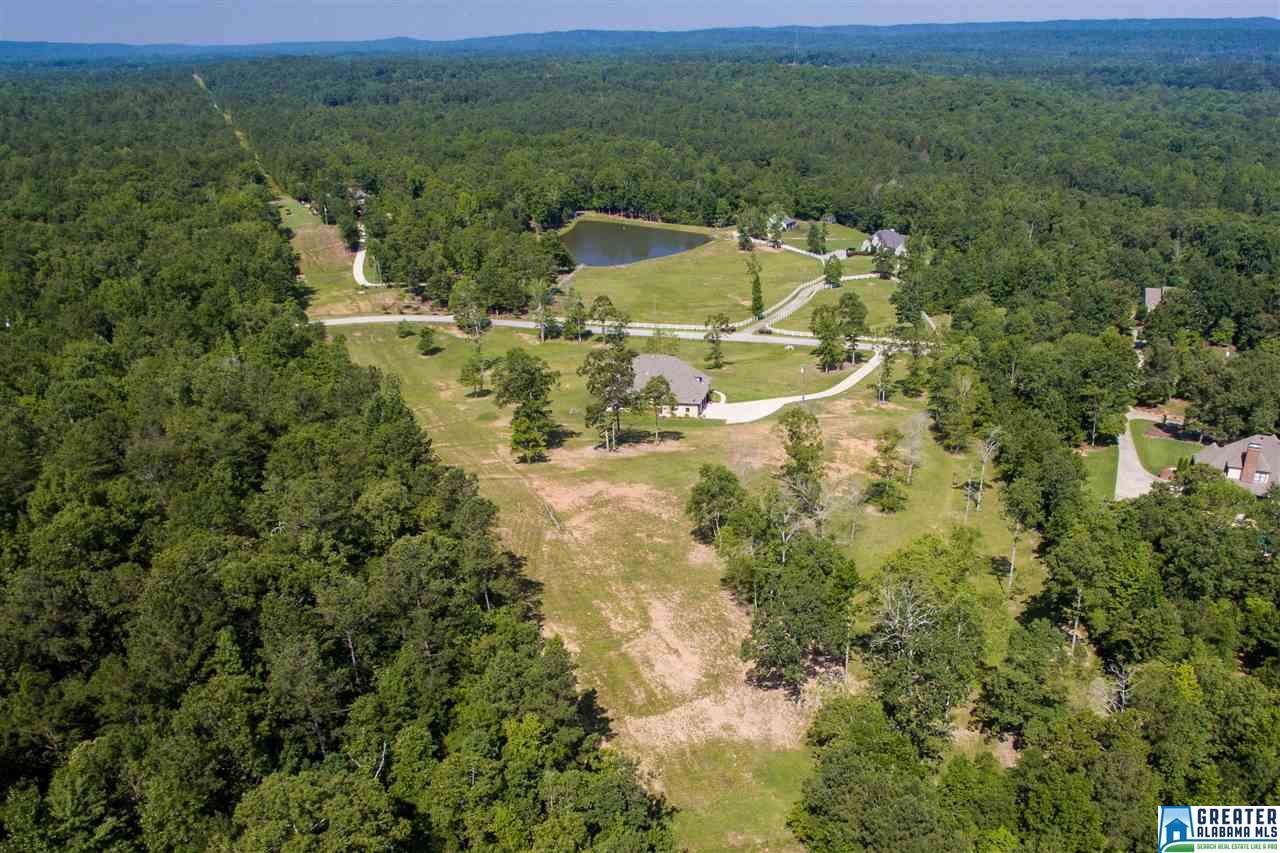 272 OHARA DR, Chelsea, AL 35043