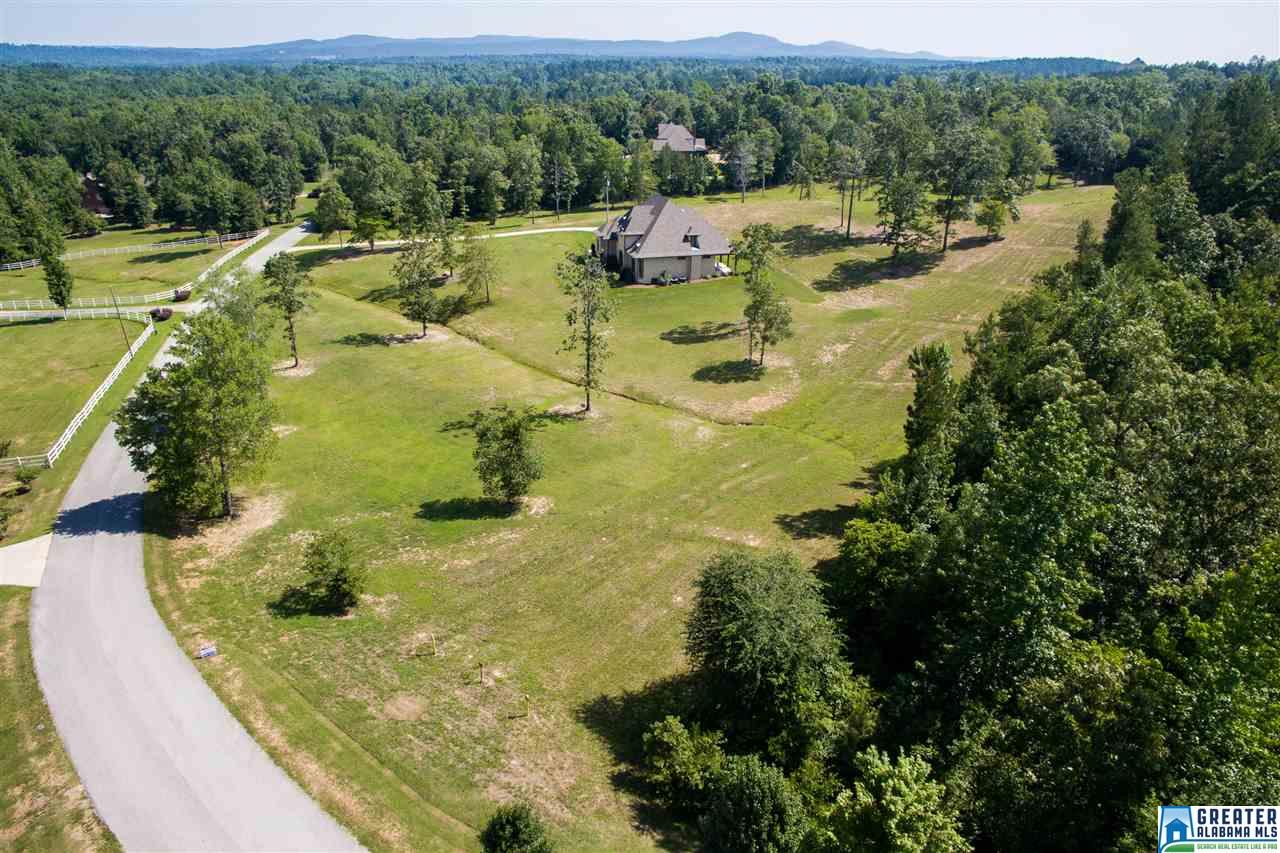 272 OHARA DR, Chelsea, AL 35043