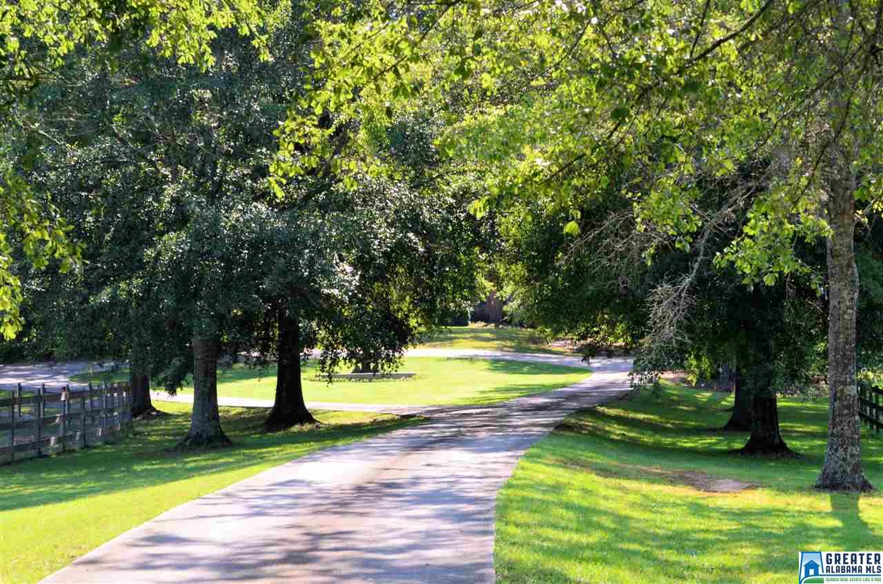 10 SPRING BRANCH RD, Chelsea, AL 35043