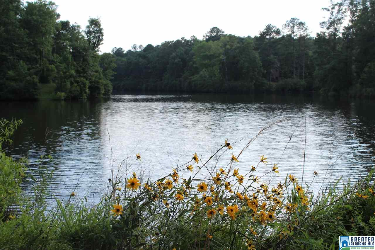 426 BRANCH LAKE DR, Chelsea, AL 35043