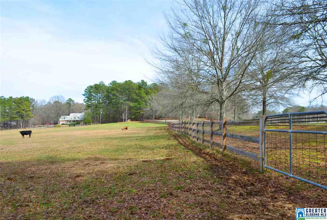 10 SPRING BRANCH RD, Chelsea, AL 35051