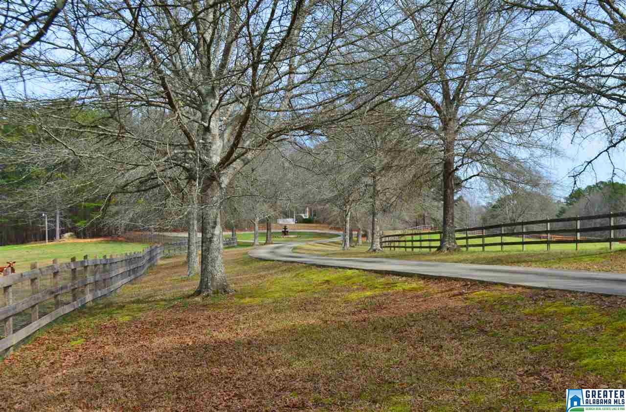 10 SPRING BRANCH RD, Chelsea, AL 35051