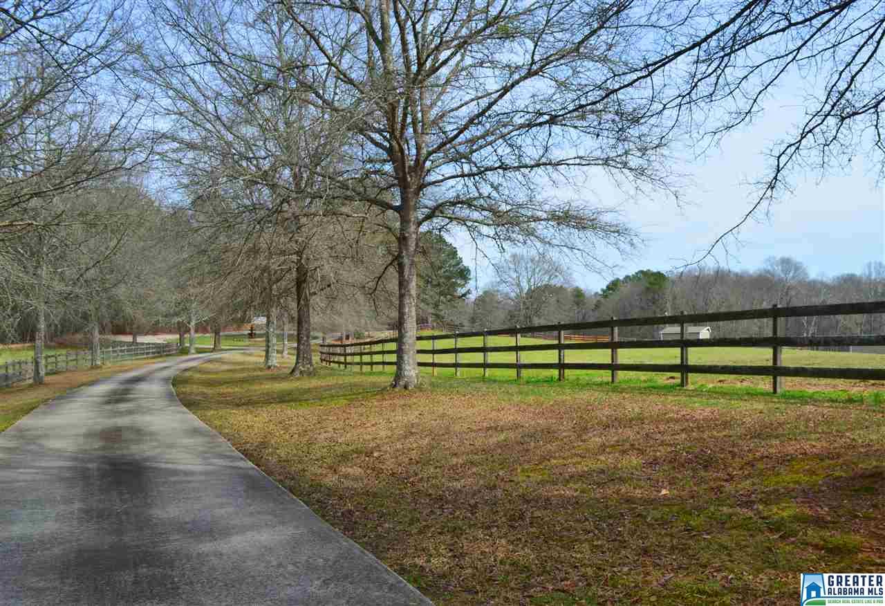 10 SPRING BRANCH RD, Chelsea, AL 35051