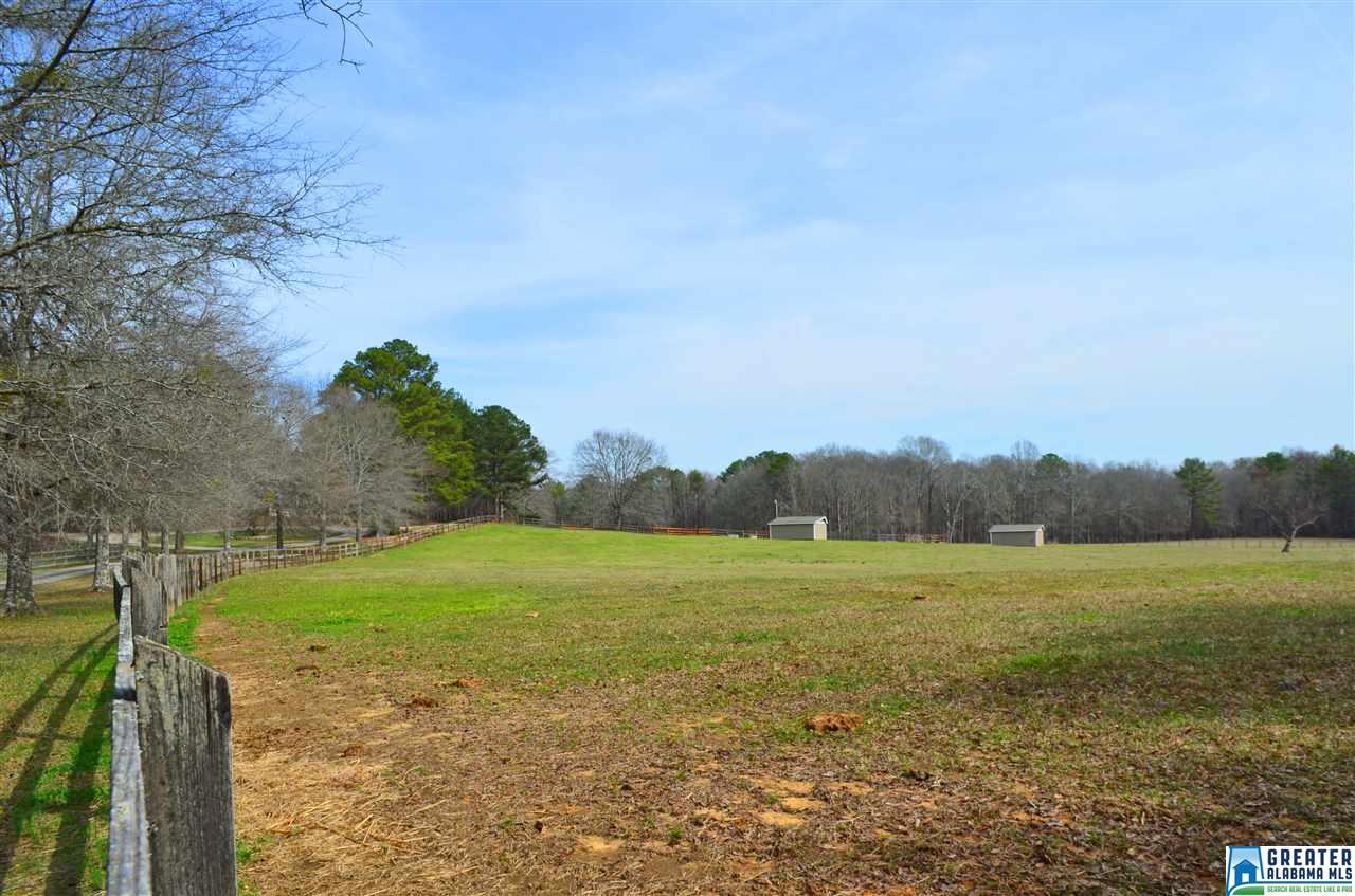10 SPRING BRANCH RD, Chelsea, AL 35051