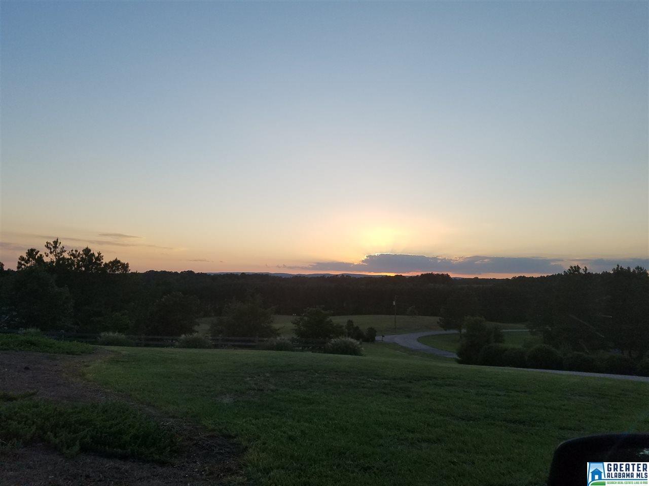 644 SHIRE VALLEY FARMS, Columbiana, AL 35051