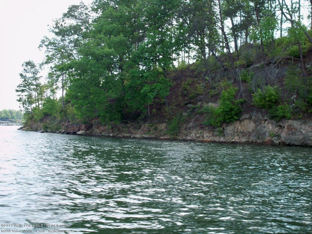 LOT #7 POINT OF VIEW, Crane Hill, AL 35053
