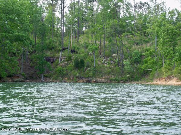 LOT #6 POINT OF VIEW, Crane Hill, AL 35053
