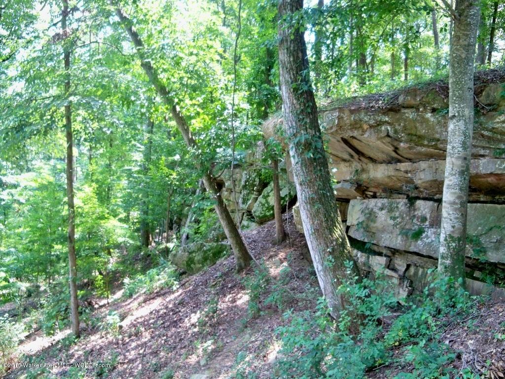 LOT #7 SUNRISE POINT ESTATES, Crane Hill, AL 35053