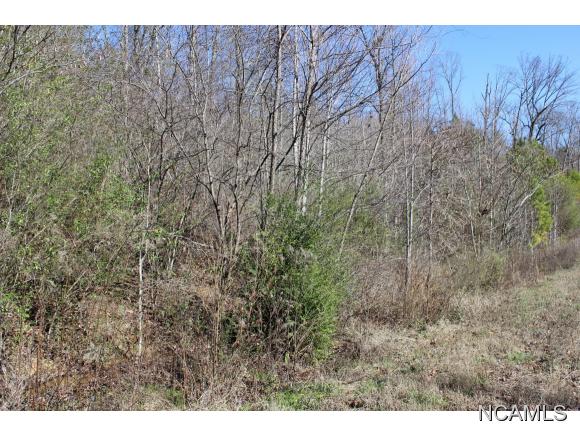 0 0 CO RD 877, Crane Hill, AL 35053