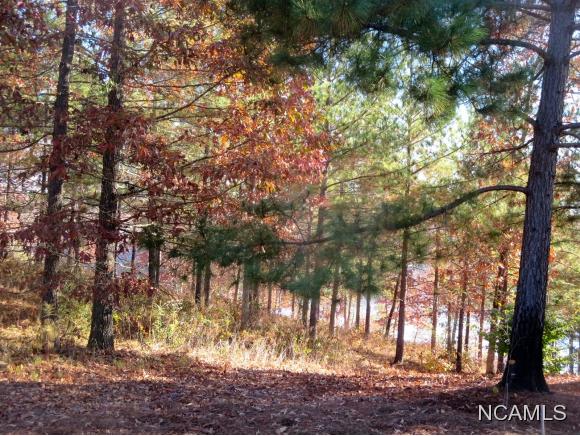 LOT 7 CO RD 2021, Crane Hill, AL 35053