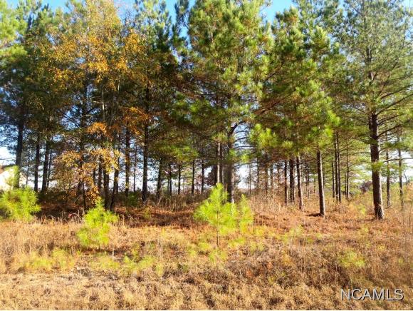 LOT 7 CO RD 2021, Crane Hill, AL 35053
