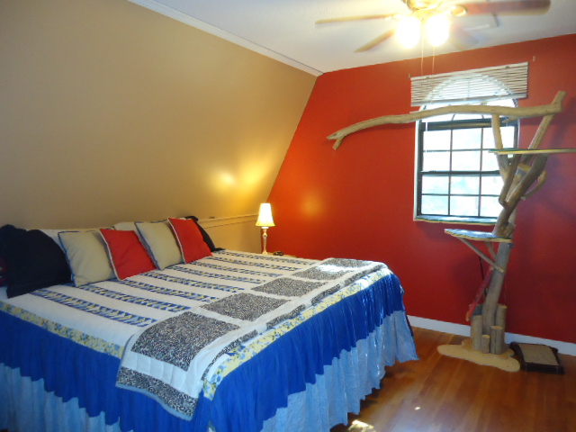200 CO RD 336, Crane Hill, AL 35053
