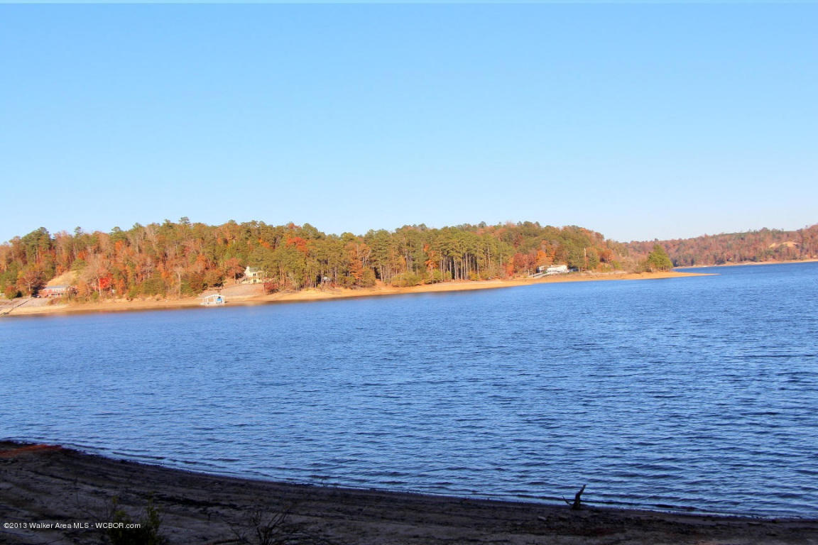 COUNTY ROAD 875, Crane Hill, AL 35053