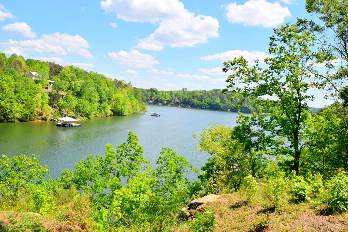 TRACT 3 COUNTY ROAD 901, Crane Hill, AL 35053