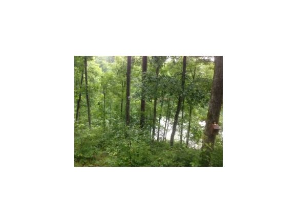 89 CO RD 318, Crane Hill, AL 35053