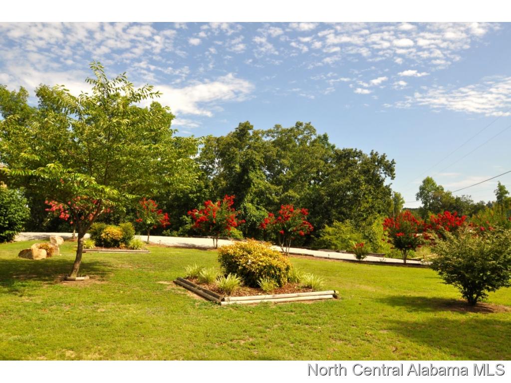 2050 CO RD 870, Crane Hill, AL 35053