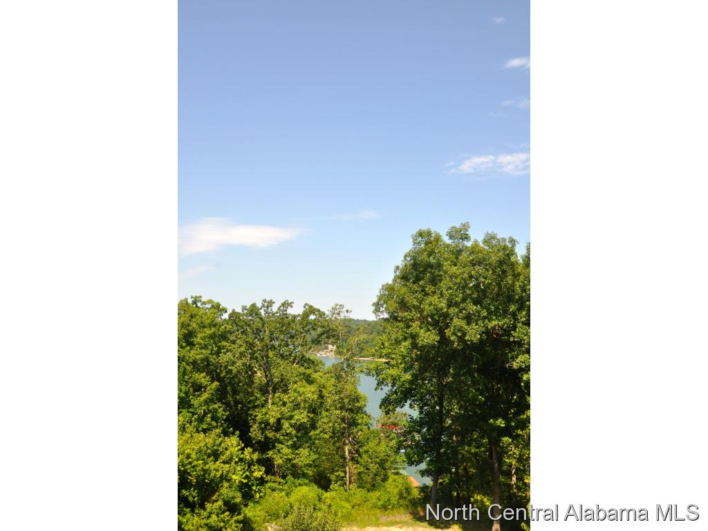 2050 CO RD 870, Crane Hill, AL 35053