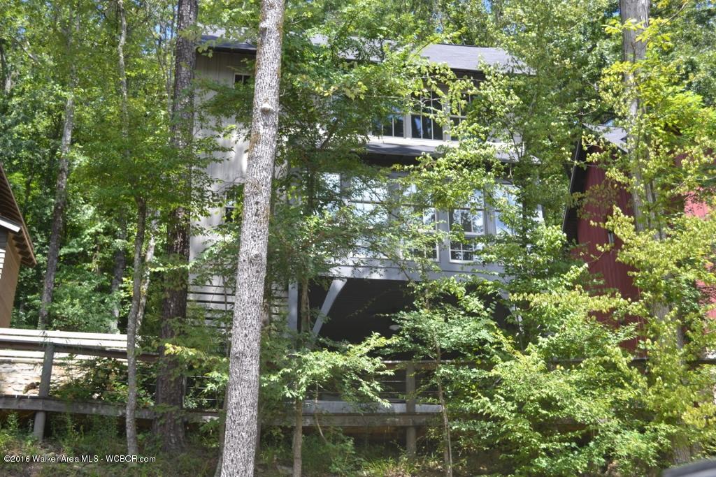 211 WATERDOG DRIVE, Crane Hill, AL 35053