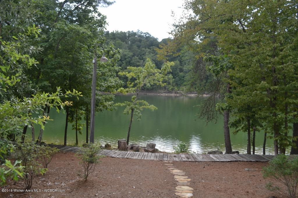 219 TURTLE POINT DRIVE, Crane Hill, AL 35053