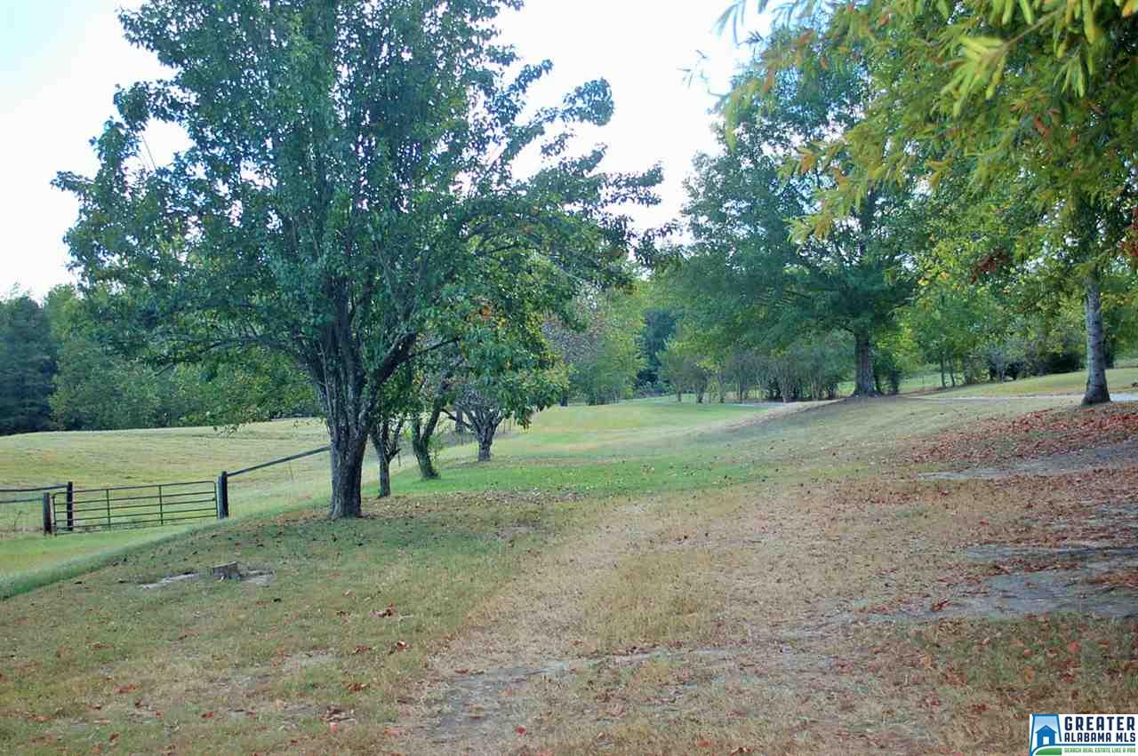 905 SITTON RD, Hayden, AL 35079