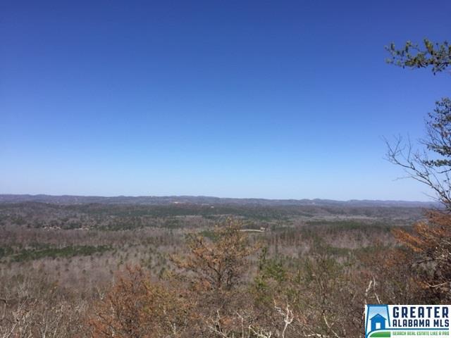 0 SPRINGSTONE TRL, Leeds, AL 35094